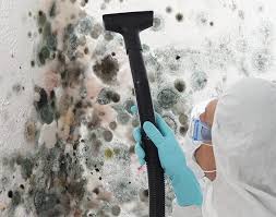 Trusted Bellefonte, PA Mold Prevention & Removal  Experts